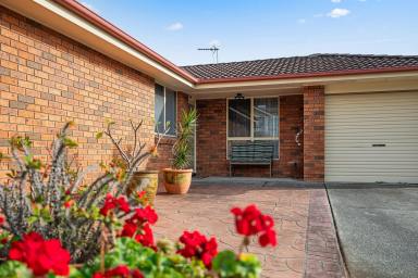 House Sold - NSW - Raymond Terrace - 2324 - CHARMING 3-BEDROOM BRICK HOME IN RIVERVIEW RIDGE ESTATE  (Image 2)