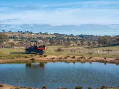 Lifestyle Sold - NSW - Murrumbateman - 2582 - Deceased Estate - 'Runnymede'  (Image 2)