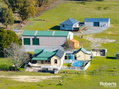 House For Sale - TAS - Exeter - 7275 - 2 Dwellings on 20 Acres  (Image 2)