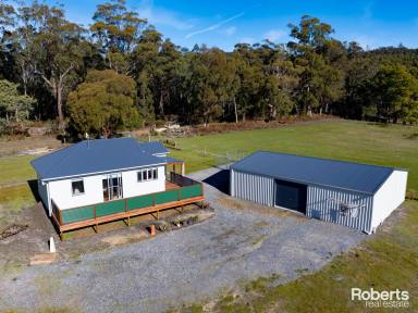 House For Sale - TAS - Exeter - 7275 - 2 Dwellings on 20 Acres  (Image 2)