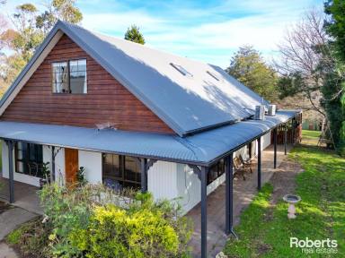House For Sale - TAS - Legana - 7277 - Family Lifestyle & Space  (Image 2)