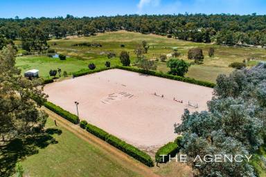 House For Sale - WA - Chidlow - 6556 - Equine Heaven On a Lush 40 Acres Steeped in History  (Image 2)