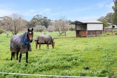 House For Sale - WA - Chidlow - 6556 - Equine Heaven On a Lush 40 Acres Steeped in History  (Image 2)