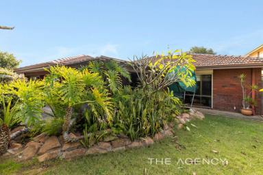 House Sold - WA - Hamilton Hill - 6163 - ***UNDER OFFER BY TEAM TROLIO***  (Image 2)