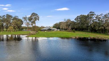 Lifestyle Sold - WA - Vasse - 6280 - Rare 40ac Rural Busselton  (Image 2)