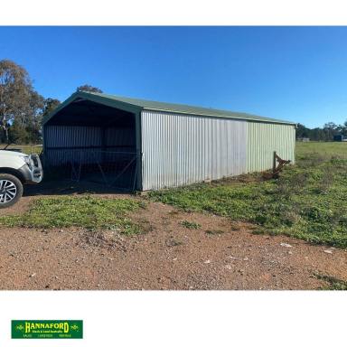 Farmlet For Sale - NSW - Forbes - 2871 - "MOWBRAY"  (Image 2)