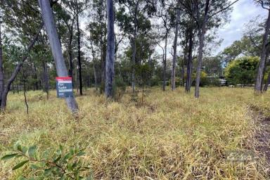 Residential Block For Sale - QLD - Glenwood - 4570 - THEY DON'T LAST LONG!  (Image 2)