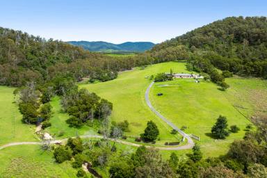 House For Sale - NSW - Cobargo - 2550 - Rural Dream  (Image 2)