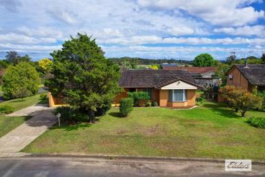 House Leased - NSW - Taree - 2430 - Tidy 3 bedroom home  (Image 2)