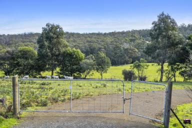 Residential Block For Sale - TAS - Nubeena - 7184 - Exceptional Land Opportunity in Nubeena  (Image 2)