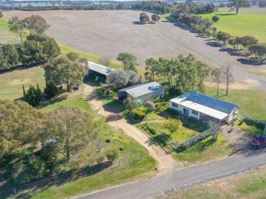 House Sold - NSW - Young - 2594 - Country Cottage With Town Water On 10acs*  (Image 2)