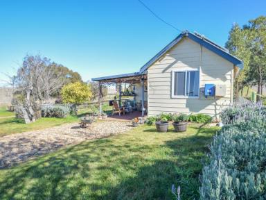 House Sold - NSW - Young - 2594 - Country Cottage With Town Water On 10acs*  (Image 2)