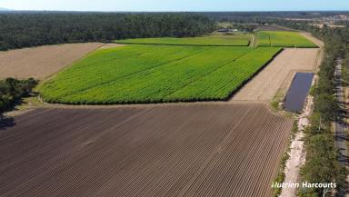 Acreage/Semi-rural For Sale - QLD - Bungadoo - 4671 - 126 Cultivated Acres - Modern Brick Home - Burnett River Frontage  (Image 2)