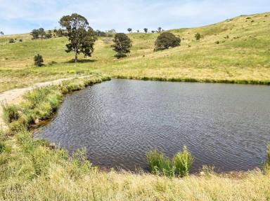 Livestock Sold - NSW - Bannaby - 2580 - 100 ACRES, PERFECT WEEKENDER GETAWAY PROPERTY + GRAZING POTENTIAL , PEACE, QUIET, VIEWS, CREEK, DAMS,  (Image 2)