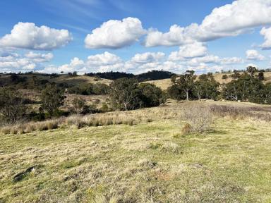 Livestock Sold - NSW - Bannaby - 2580 - 100 ACRES, PERFECT WEEKENDER GETAWAY PROPERTY + GRAZING POTENTIAL , PEACE, QUIET, VIEWS, CREEK, DAMS,  (Image 2)