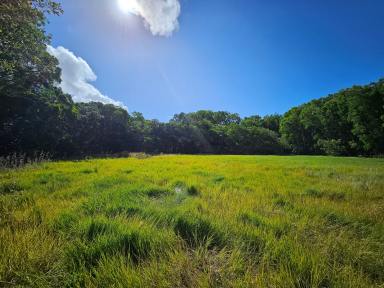 Residential Block For Sale - QLD - Cooktown - 4895 - I Acre, Natural Beauty & Clearing to Build  (Image 2)