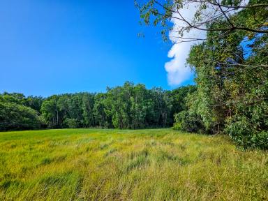 Residential Block For Sale - QLD - Cooktown - 4895 - I Acre, Natural Beauty & Clearing to Build  (Image 2)