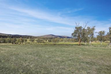 Lifestyle For Sale - VIC - Benambra - 3900 - Woop Woop  (Image 2)