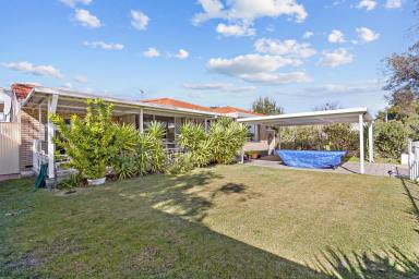 House Sold - WA - Balga - 6061 - Meticulously maintained & renovated home in a prime location awaits you!  (Image 2)