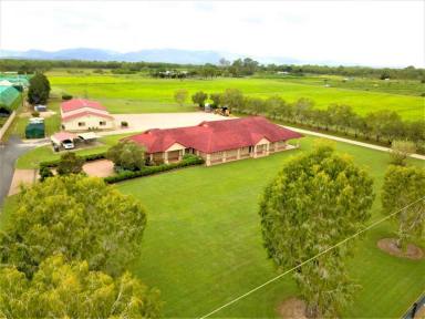 Lifestyle Sold - QLD - Mareeba - 4880 - COUNTRY ACRES WITH LUXURY LIFESTYLE  (Image 2)