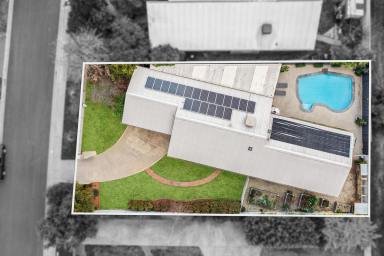 House Sold - VIC - Spring Gully - 3550 - Light-Filled, Family Living  (Image 2)