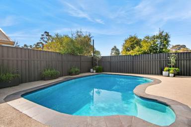 House Sold - VIC - Spring Gully - 3550 - Light-Filled, Family Living  (Image 2)