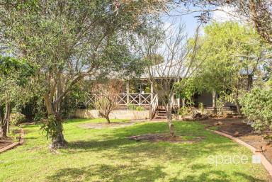 House For Sale - WA - Margaret River - 6285 - Room to Develop  (Image 2)