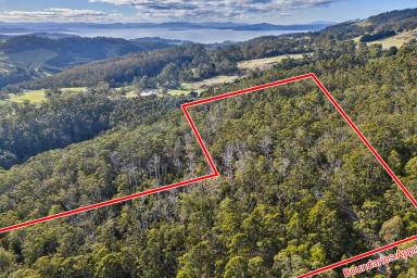 Residential Block For Sale - TAS - Nubeena - 7184 - Discover Your Own Piece of Zen Wilderness only 5 mins drive from the local school  (Image 2)