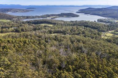Residential Block For Sale - TAS - Nubeena - 7184 - Discover Your Own Piece of Zen Wilderness only 5 mins drive from the local school  (Image 2)