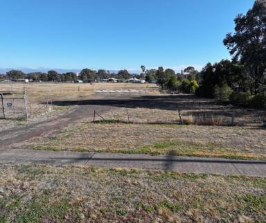 Residential Block Sold - QLD - Cambooya - 4358 - Prime 1610m² Parcel of Land in Charming Cambooya  (Image 2)