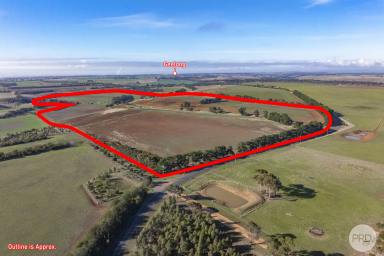 Residential Block For Sale - VIC - Sutherlands Creek - 3331 - Land Banking Opportunity With Productive Rich Soil On 164 Acres  (Image 2)