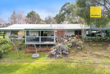 House Sold - WA - Bridgetown - 6255 - LIFESTYLE PROPERTY ON 4.94 ACRES  (Image 2)