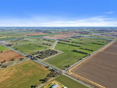 Mixed Farming For Sale - VIC - Yalca - 3637 - EXPRESSION OF INTEREST                      PREMIER IRRIGATION PROPERTY  (Image 2)