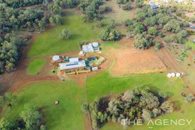 Acreage/Semi-rural Sold - WA - Morangup - 6083 - "All The Fruit"  (Image 2)