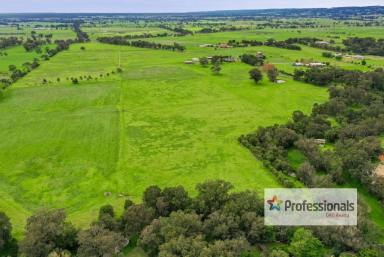 Mixed Farming For Sale - WA - Brunswick - 6224 - Family Farm in Brunswick  (Image 2)