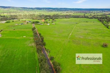 Mixed Farming For Sale - WA - Brunswick - 6224 - Family Farm in Brunswick  (Image 2)