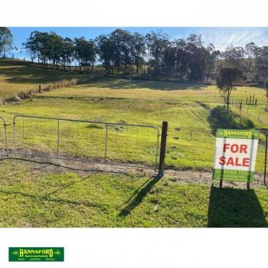 Residential Block For Sale - NSW - Bundook - 2422 - GREAT OUTLOOK - GOOD SOIL - COUNTRY VILLAGE  (Image 2)