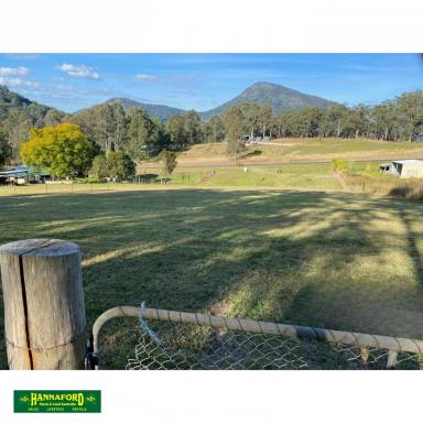 Residential Block For Sale - NSW - Bundook - 2422 - GREAT OUTLOOK - GOOD SOIL - COUNTRY VILLAGE  (Image 2)