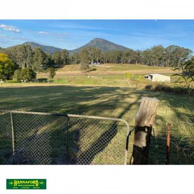 Residential Block For Sale - NSW - Bundook - 2422 - GREAT OUTLOOK - GOOD SOIL - COUNTRY VILLAGE  (Image 2)