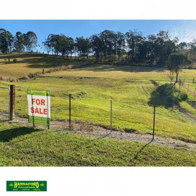 Residential Block For Sale - NSW - Bundook - 2422 - GREAT OUTLOOK - GOOD SOIL - COUNTRY VILLAGE  (Image 2)