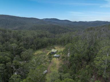 Acreage/Semi-rural Sold - NSW - Wyndham - 2550 - SELLING BY AUCTION, OFF-SITE 27TH AUGUST 2024 – WYNDHAM POST OFFICE  (Image 2)