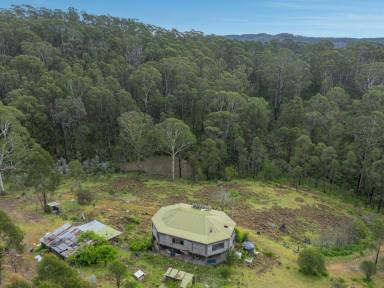 Acreage/Semi-rural Sold - NSW - Wyndham - 2550 - SELLING BY AUCTION, OFF-SITE 27TH AUGUST 2024 – WYNDHAM POST OFFICE  (Image 2)