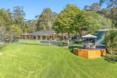 Acreage/Semi-rural For Sale - NSW - Narooma - 2546 - Six Acres of Bliss  (Image 2)