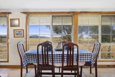 House For Sale - VIC - Clunes - 3370 - Country Retreat for the Family with Excellent Shedding  (Image 2)