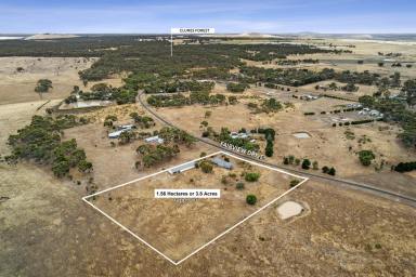 House For Sale - VIC - Clunes - 3370 - Country Retreat for the Family with Excellent Shedding  (Image 2)