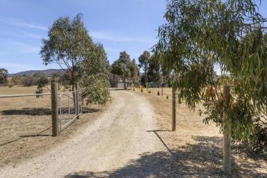 Residential Block For Sale - VIC - Clunes - 3370 - Prime Regional Land Opportunity  (Image 2)