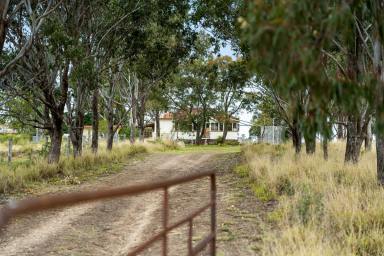 Mixed Farming Sold - QLD - Clontarf - 4357 - Blue-chip versatile, productive rural property!  (Image 2)