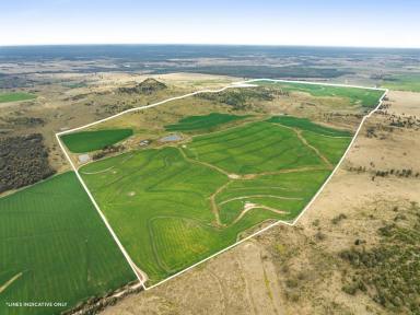 Mixed Farming Sold - QLD - Clontarf - 4357 - Blue-chip versatile, productive rural property!  (Image 2)