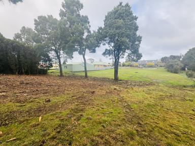 Residential Block For Sale - TAS - Strahan - 7468 - Sensational Strahan  (Image 2)