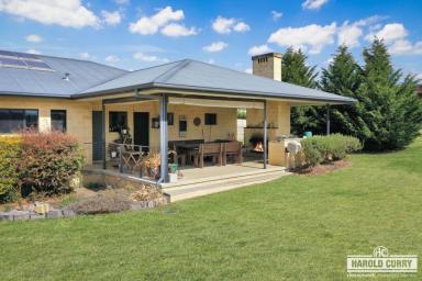 House For Sale - NSW - Tenterfield - 2372 - Something for all the Family.....  (Image 2)